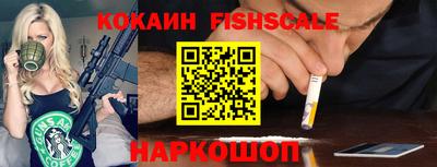 мет Кингисепп