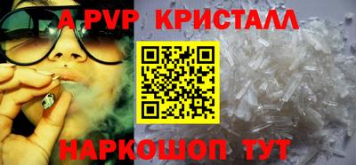 мет Кингисепп