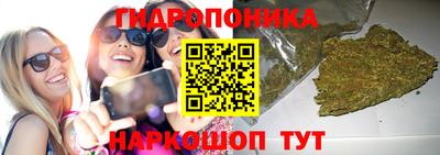 мет Кингисепп