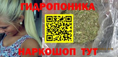 мет Кингисепп