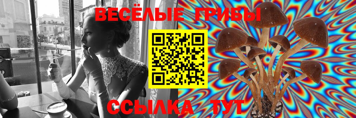 Галлюциногенные грибы мицелий Чита