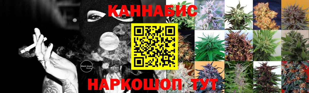 Канабис OG Kush Чита